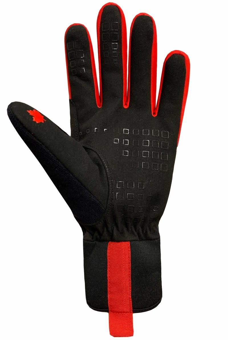 Auclair Gants Pro Alex Harvey Training