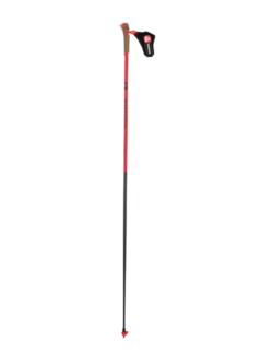 Rossignol Bâtons de ski racing WCS-Free sizes