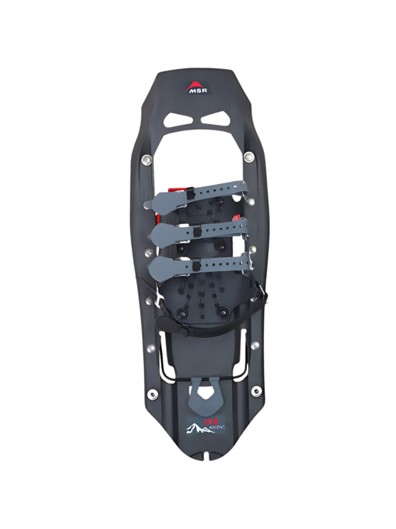 MSR Raquettes Evo Ascent 22 pouces Gris pierre