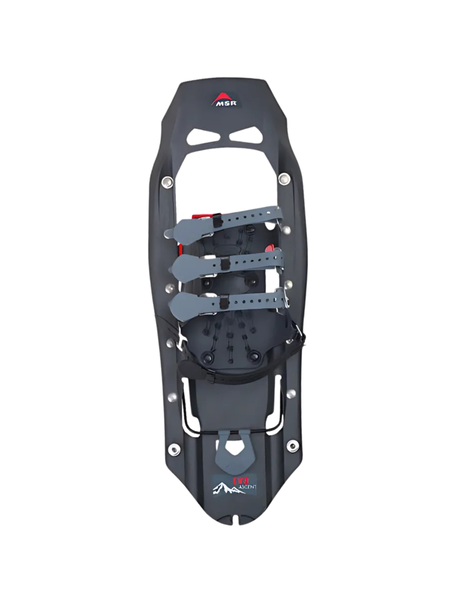 MSR Raquettes Evo Ascent Gris pierre 22 po