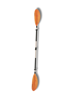 Béluga Pagaie Distance
