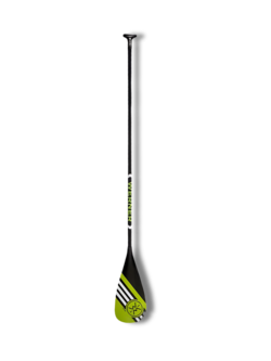 Werner Pagaie Apex 91 en carbone