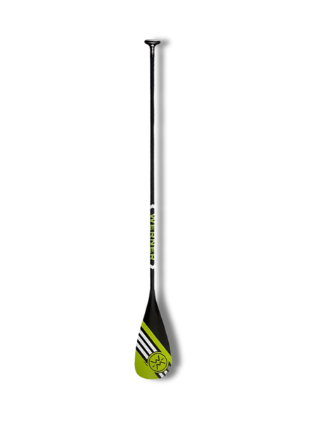 Werner Pagaie Apex 91 en carbone