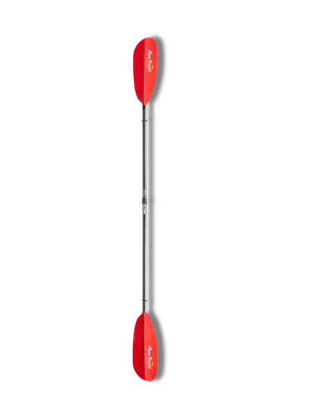 Aqua-bound Pagaie Sting Ray hybride Versa-Lok 2 pièces