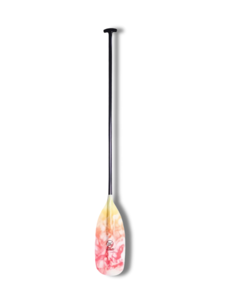 Werner Pagaie Guide Stick en fibre de verre