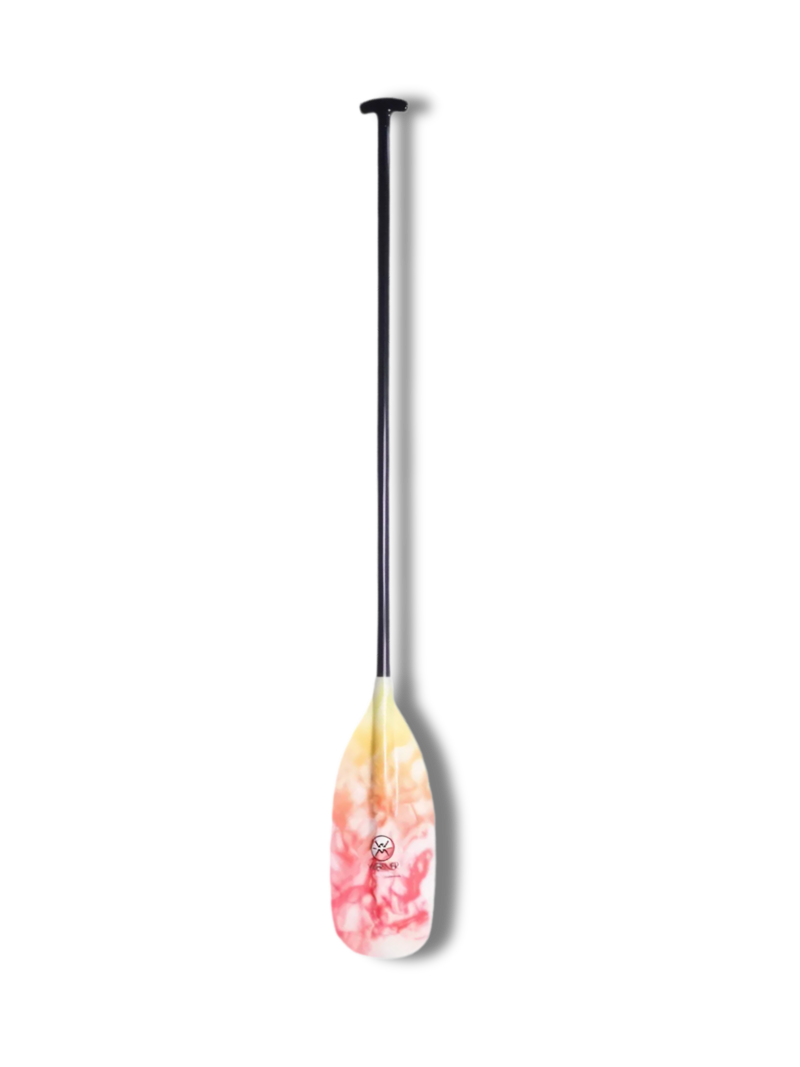 Werner Pagaie Guide Stick en fibre de verre