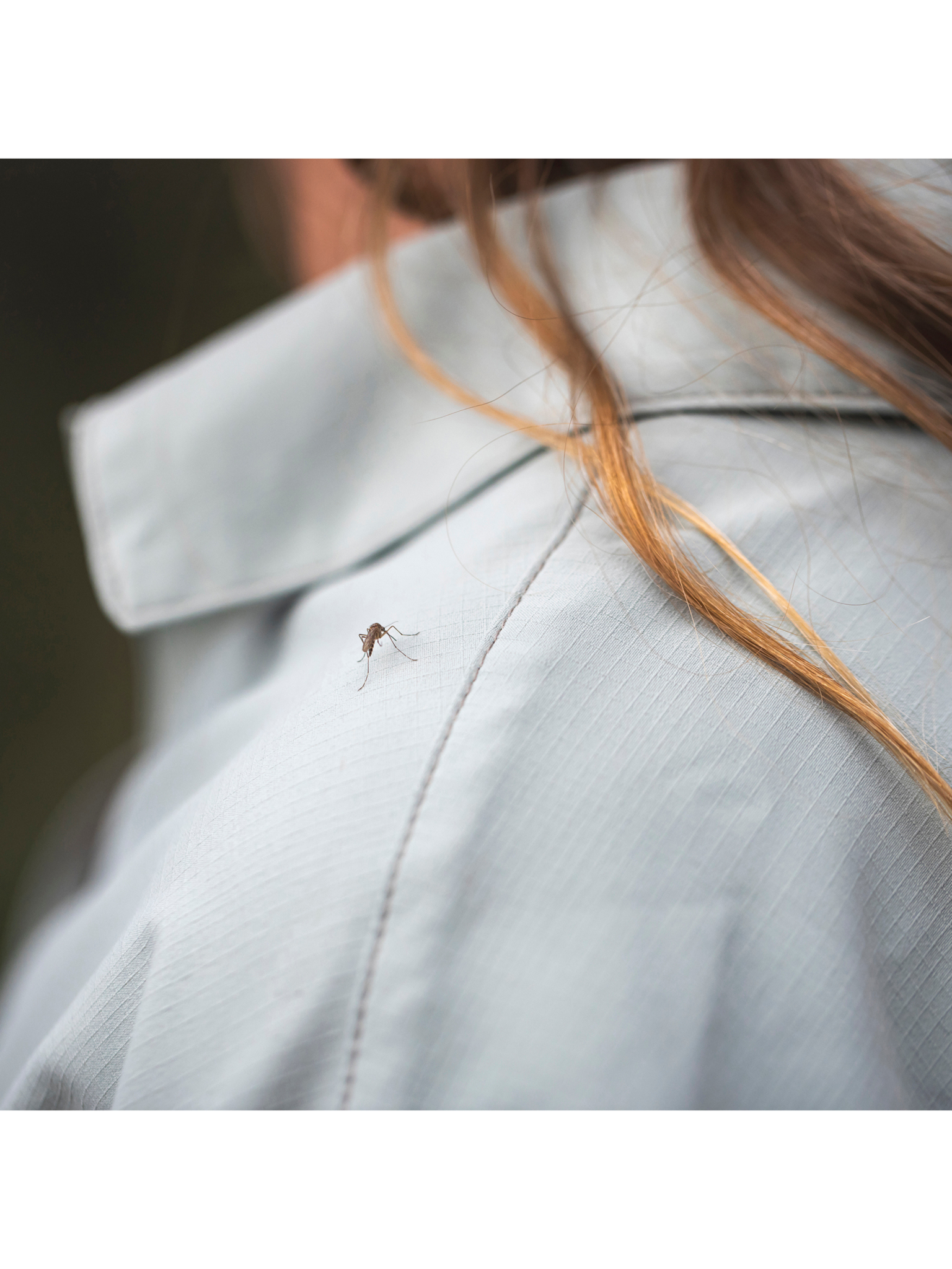 Royal Robbins Chemise Expedition III L/S pour femme