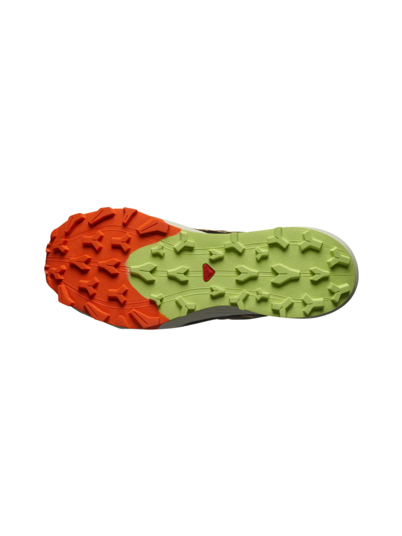 Salomon Souliers Thundercross pour homme