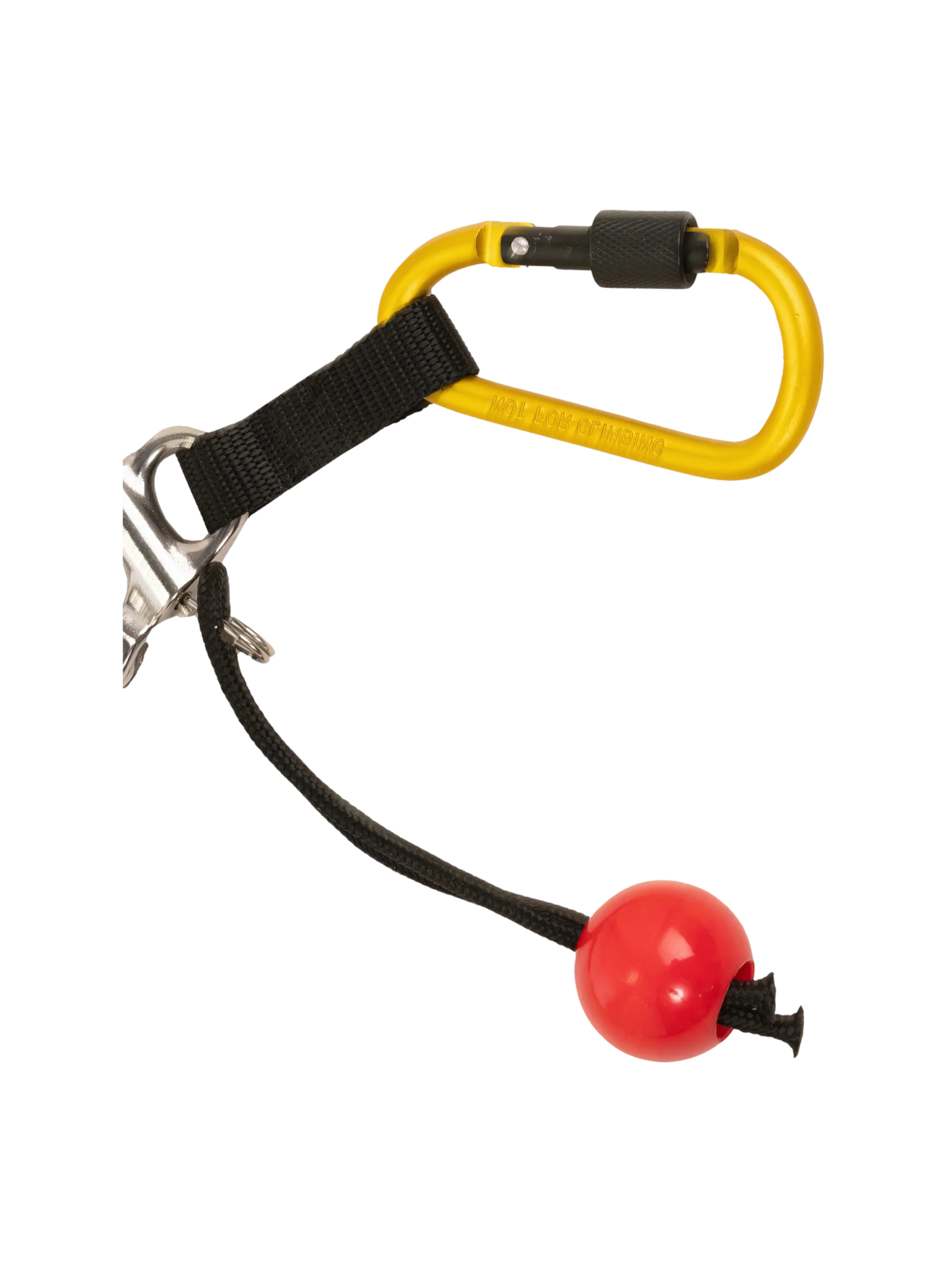 Level Six Laisse enroulée à dégadement rapide pour SUP