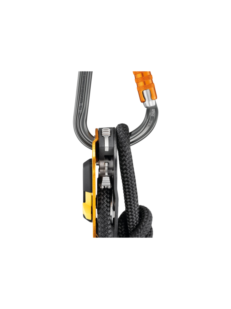 Petzl Mousqueton William Triact-Lock