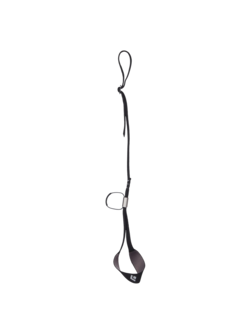 Black Diamond Dragonne Slider Leash