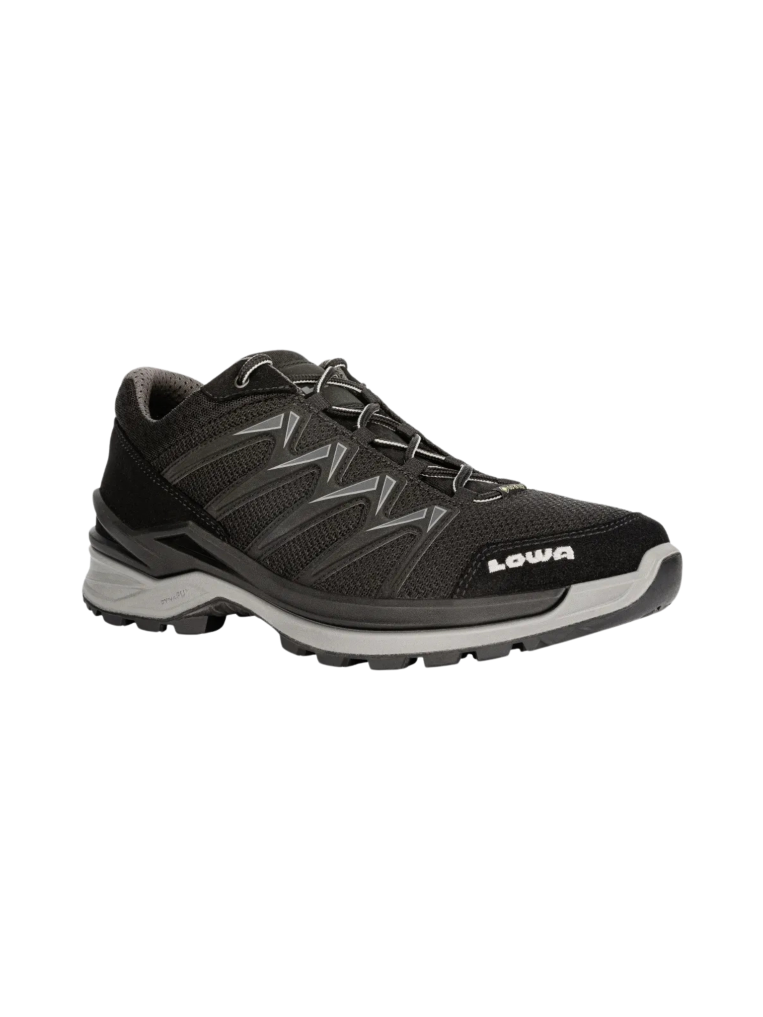 Lowa Souliers Innox Pro GTX Lo pour homme