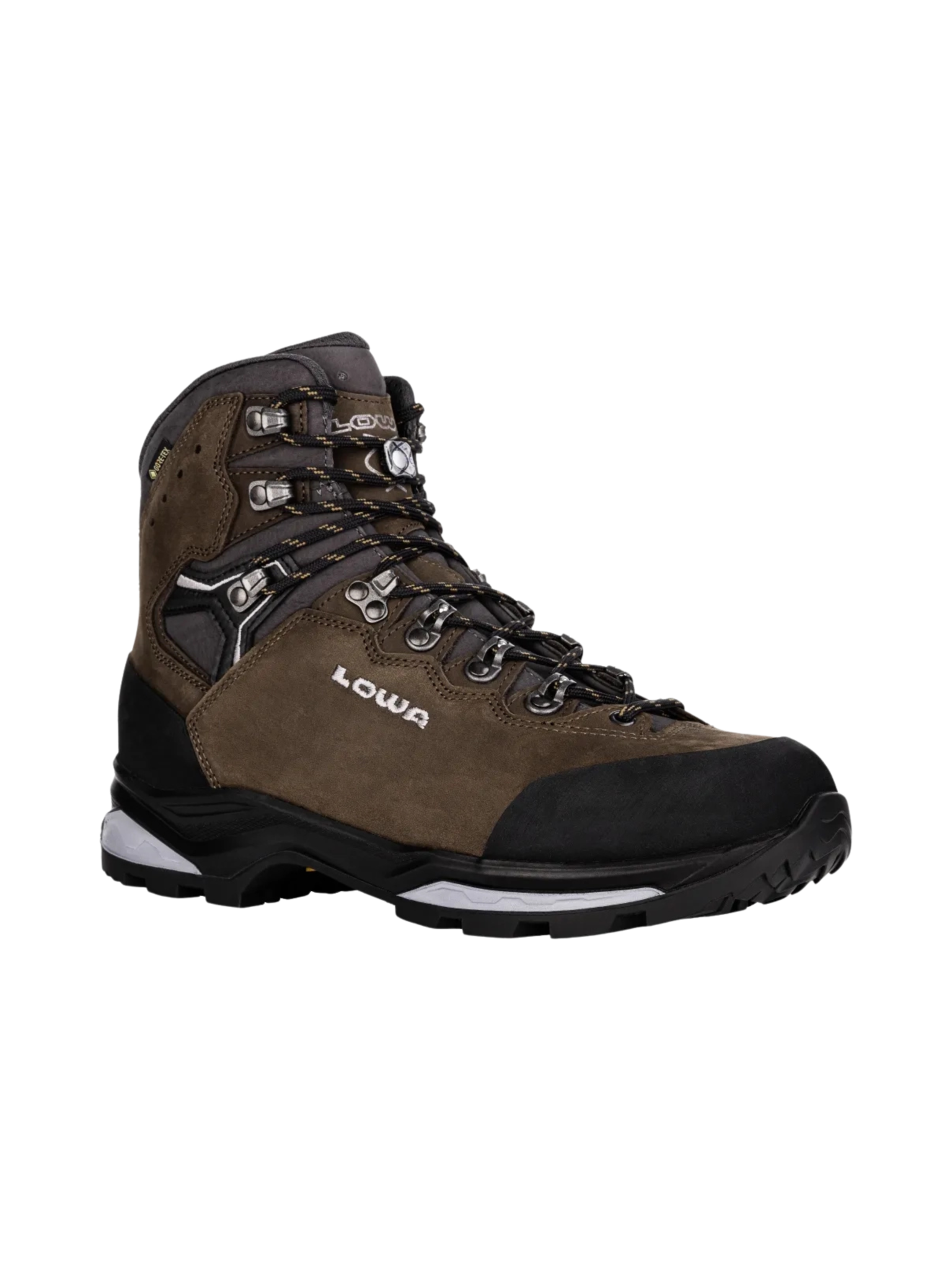 Lowa Bottes Camino Evo GTX pour homme