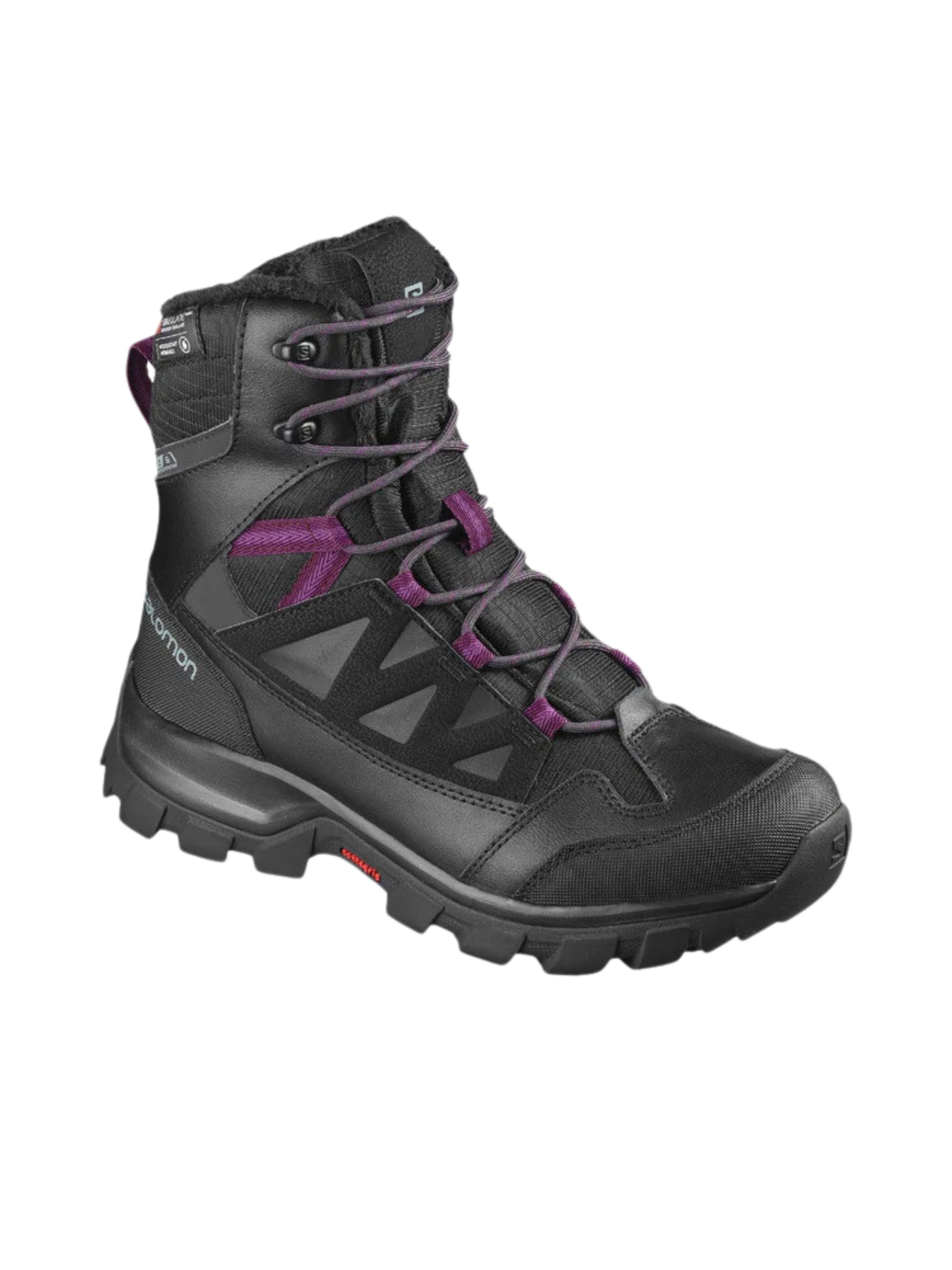 Salomon Bottes Chalten TS CSWP pour femme