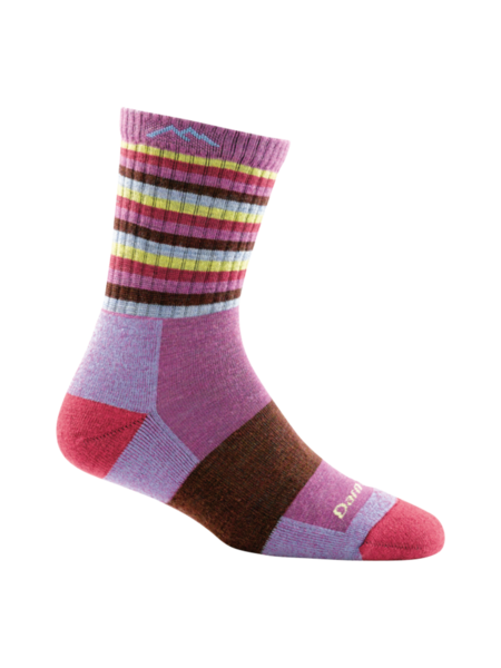 Darn Tough Chaussettes Stripes Micro Crew Cushion pour femme