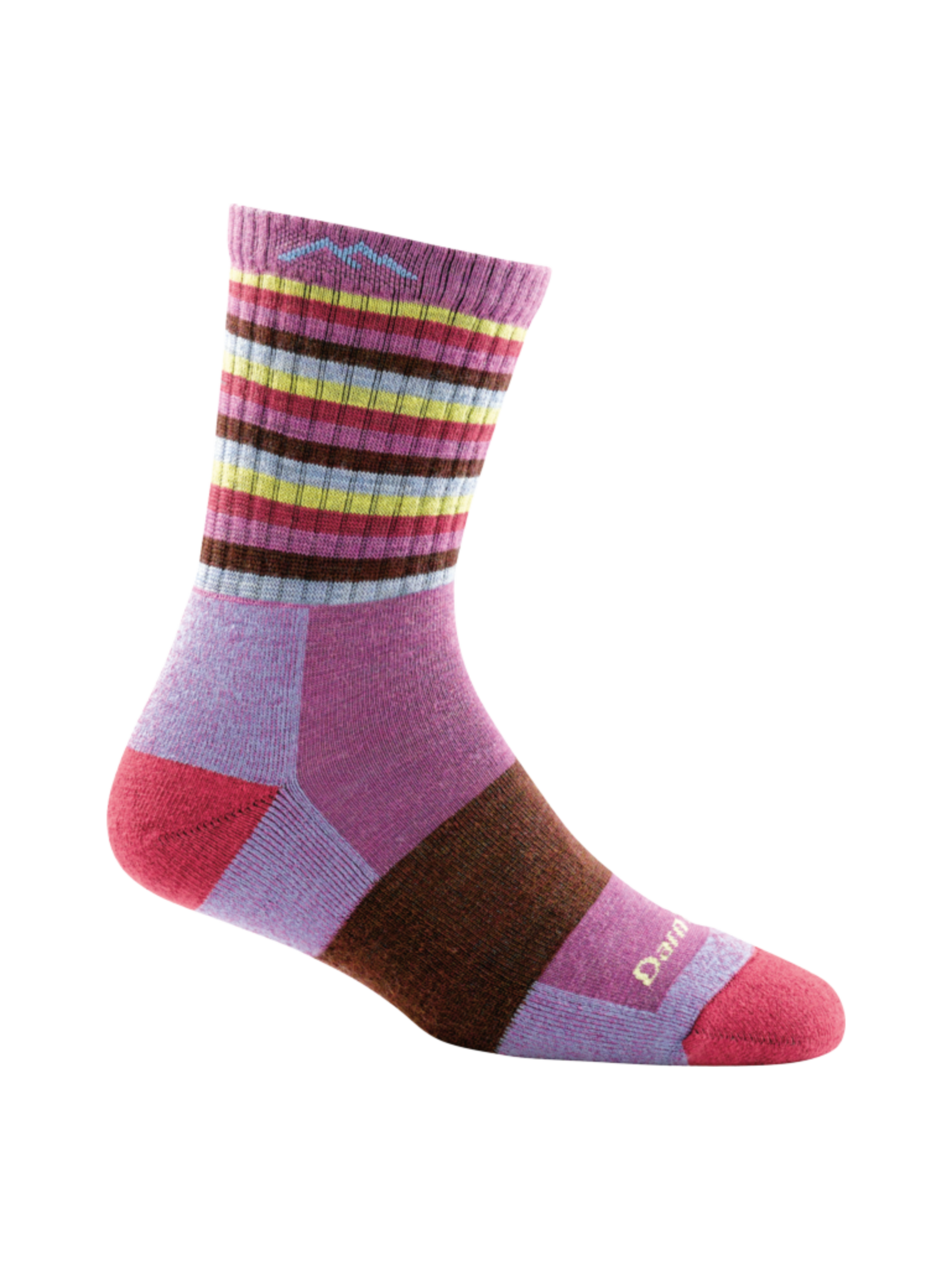 Darn Tough Chaussettes Stripes Micro Crew Cushion pour femme