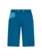 La Sportiva Shorts Bleauser pour homme