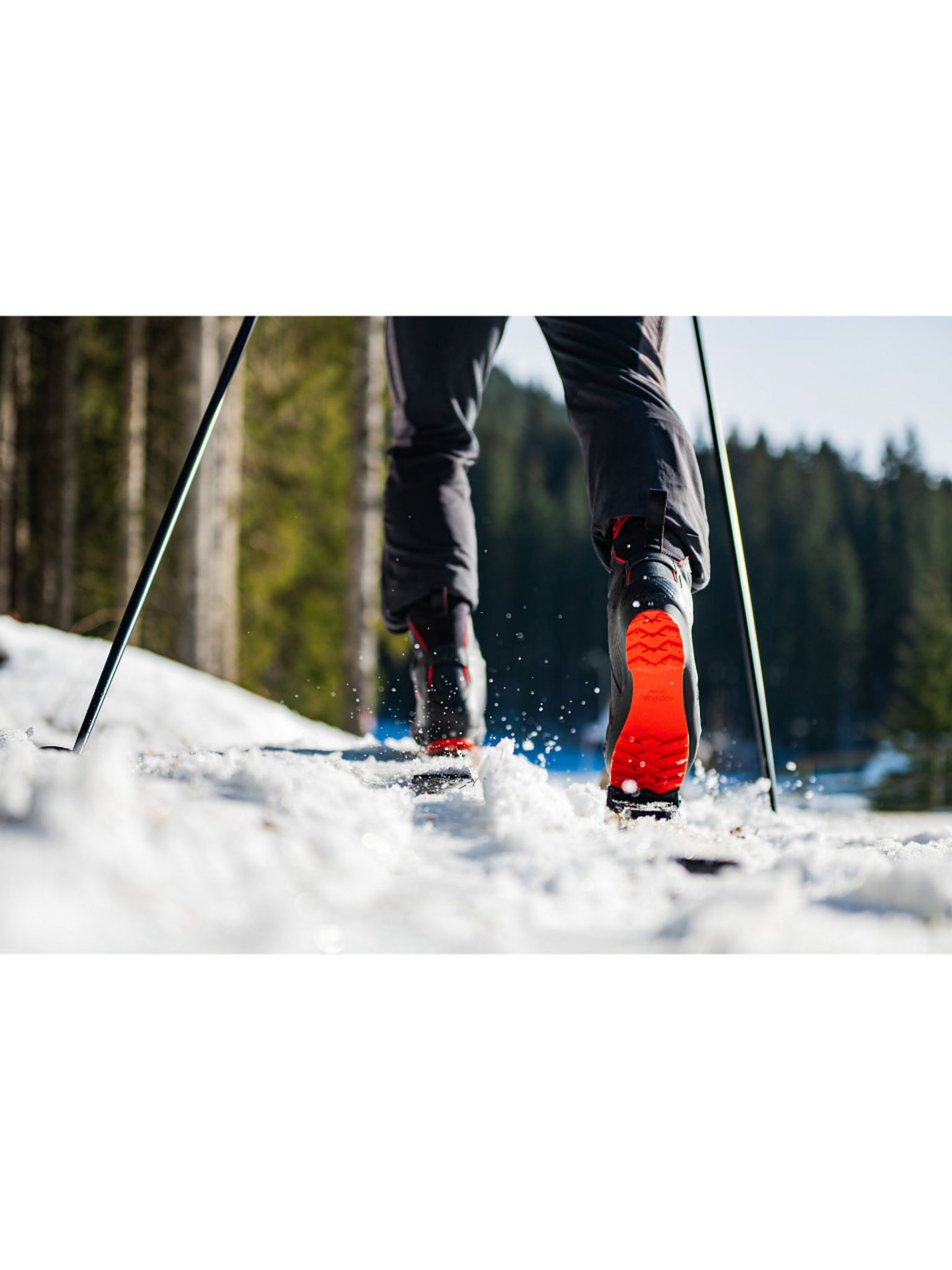 Alpina Bottes de ski de fond back-country Pi Tech