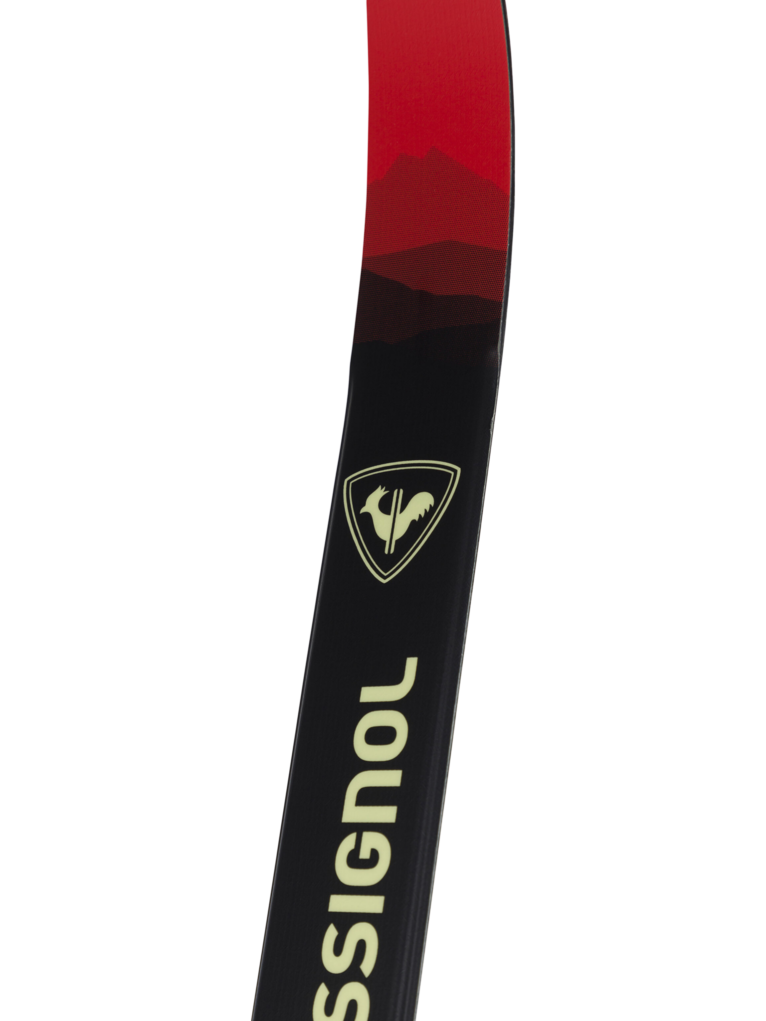 Rossignol Skis de fond X-Tour Venture Waxless