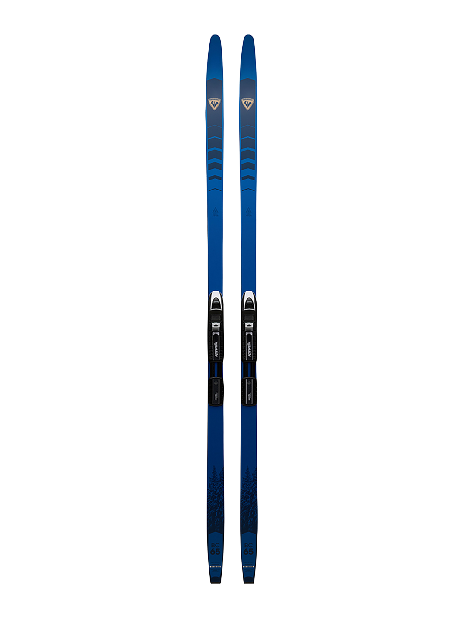 Rossignol Skis de fond hors-piste BC 65 Positrack avec fixations BC Auto