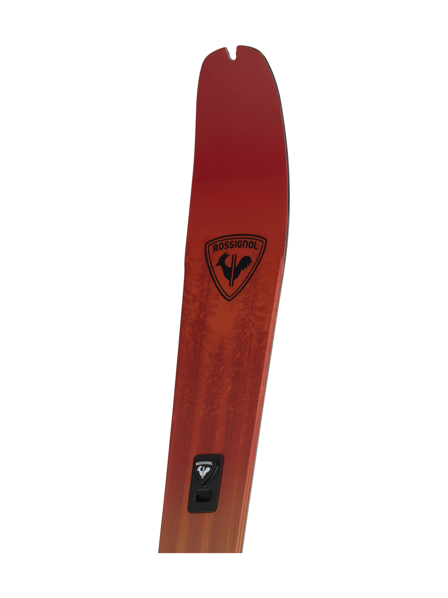 Rossignol Skis de fond back-country XP 105 Positrack