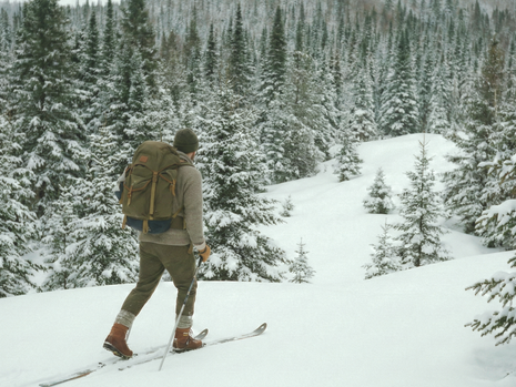 Ski de fond hors-piste au Québec : préparation, sécurité et équipement essentiel