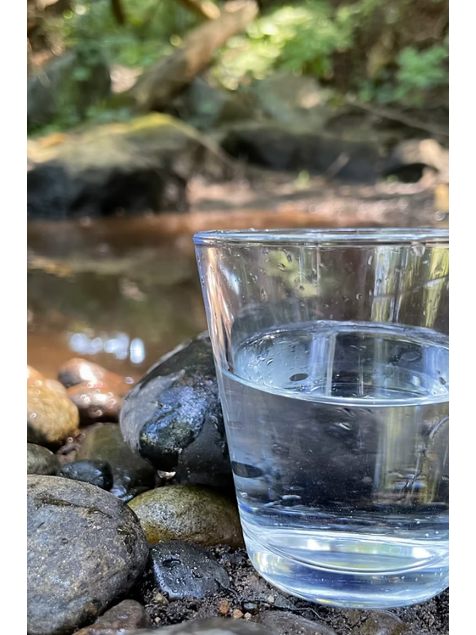 Paille de filtration d'eau