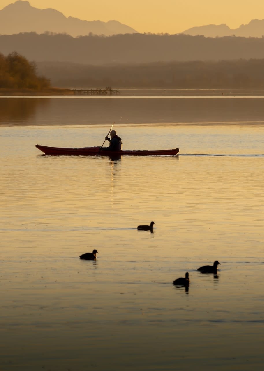 Maïkan Canard-Kayak | Le Mystère des Marais
