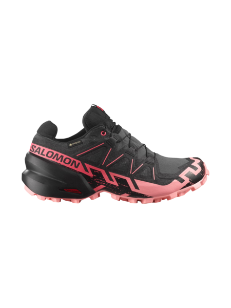 Salomon Souliers de course Speedcross 6 GTX W pour femme