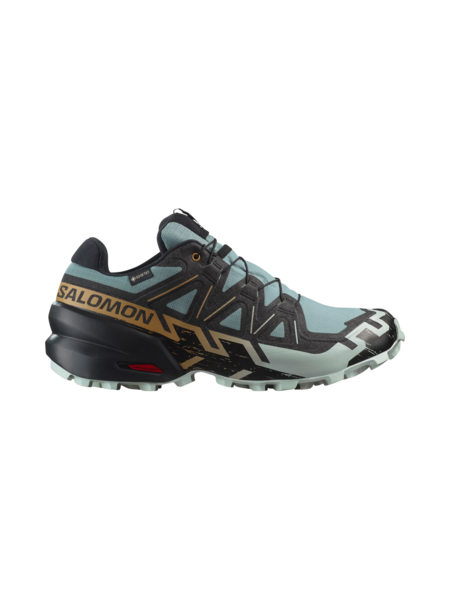 Salomon Souliers de course Speedcross 6 GTX pour homme