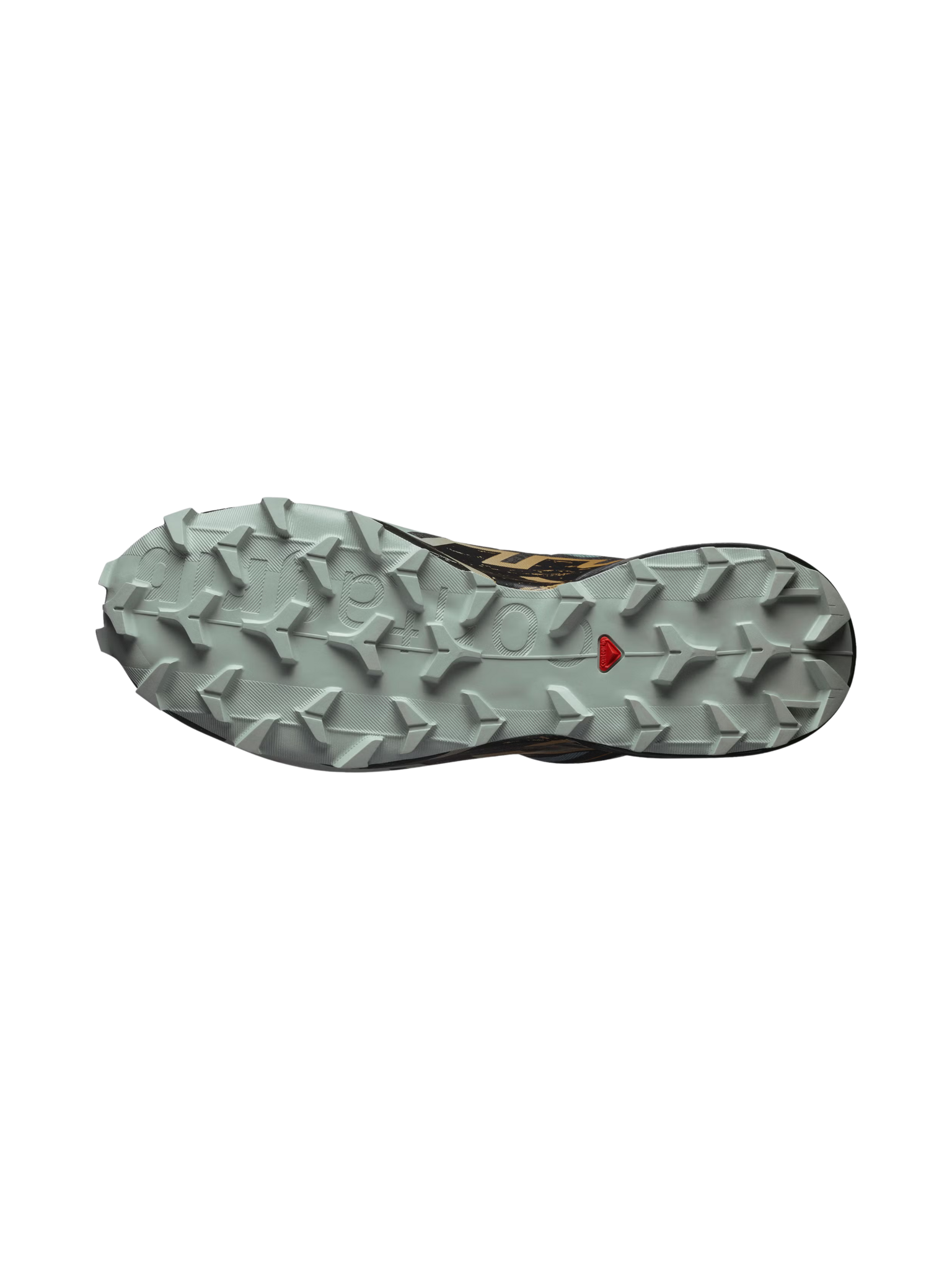 Salomon Souliers de course Speedcross 6 GTX pour homme