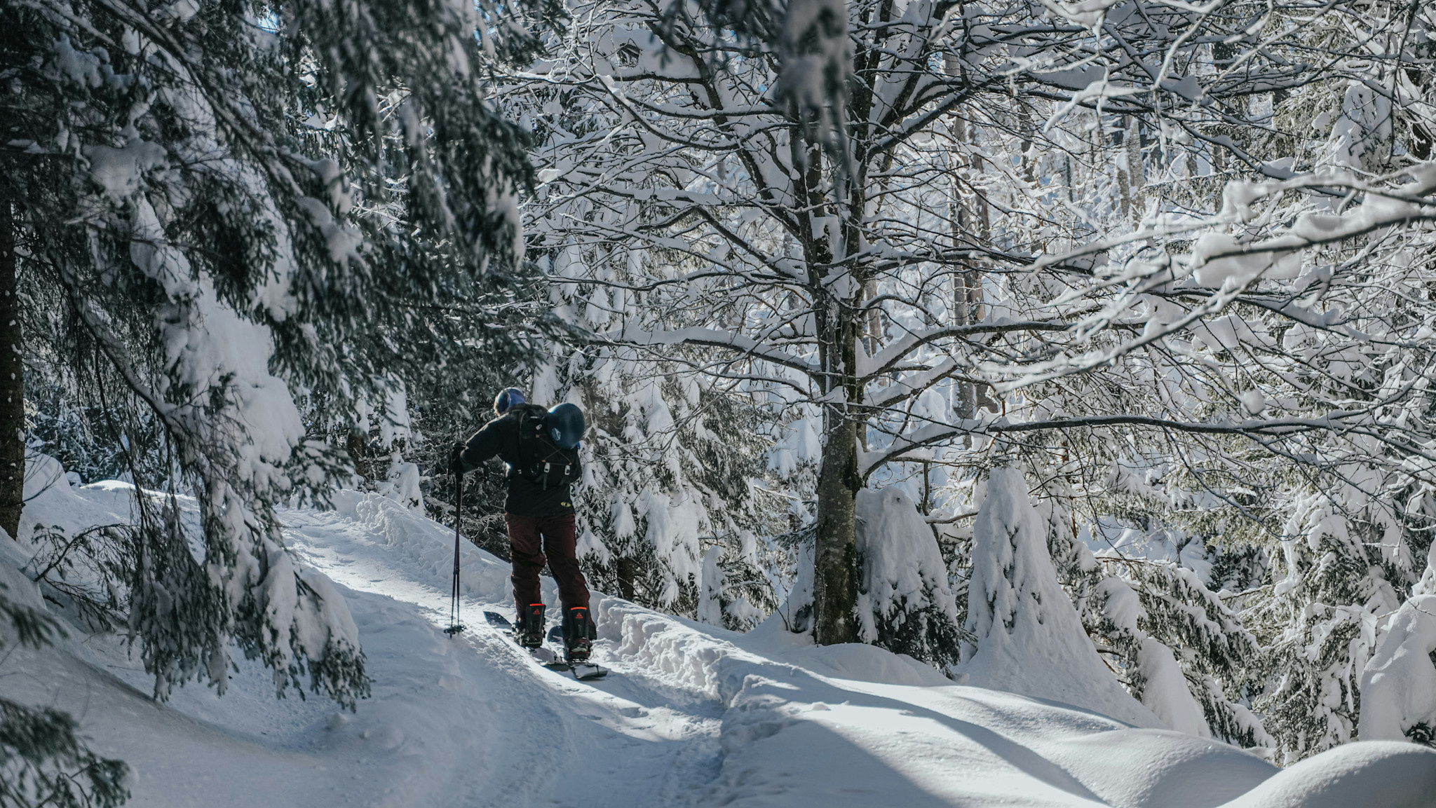Maïkan Location d'un ensemble de splitboard