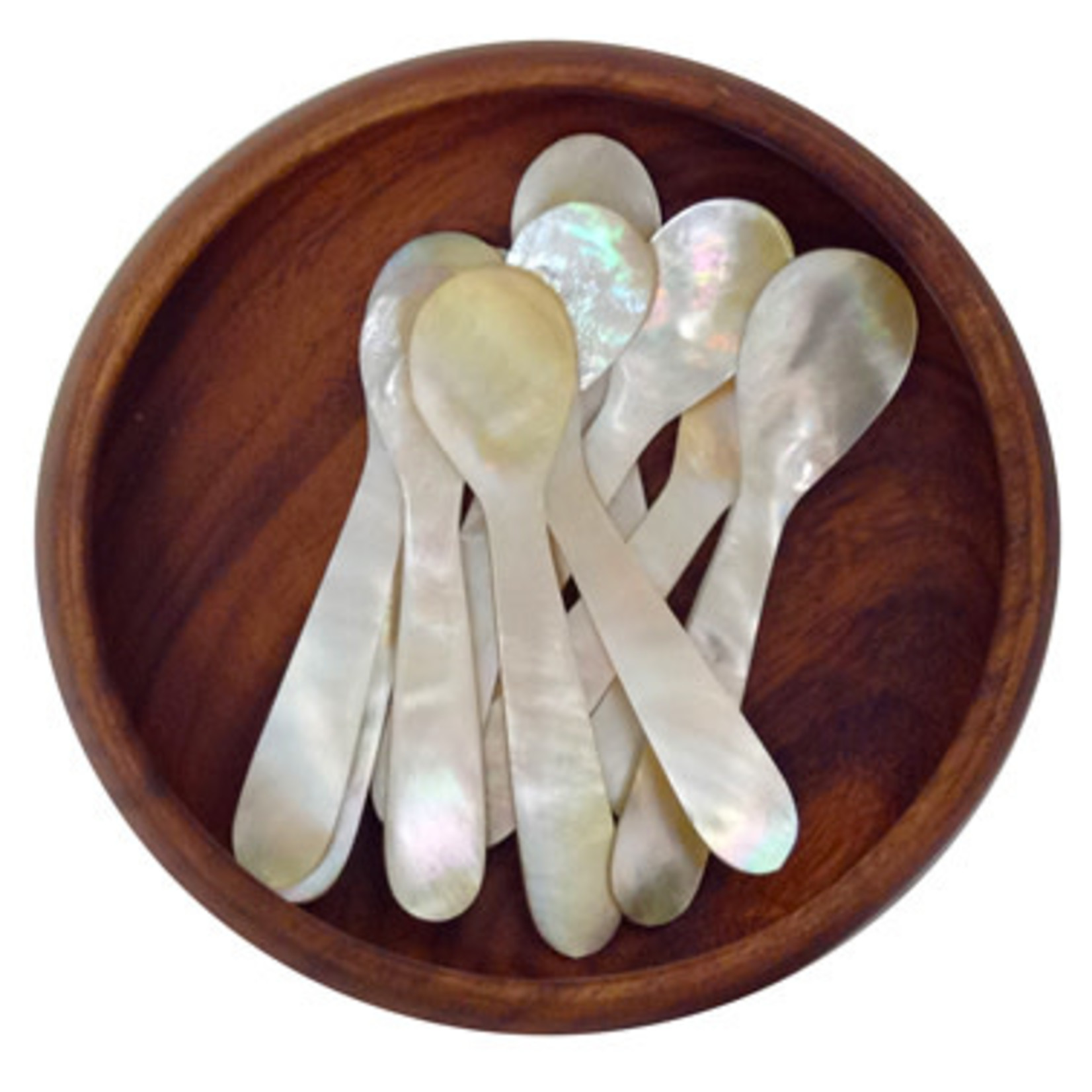 Spoon # 11 Mother of Pearl Spoons, Set of 10