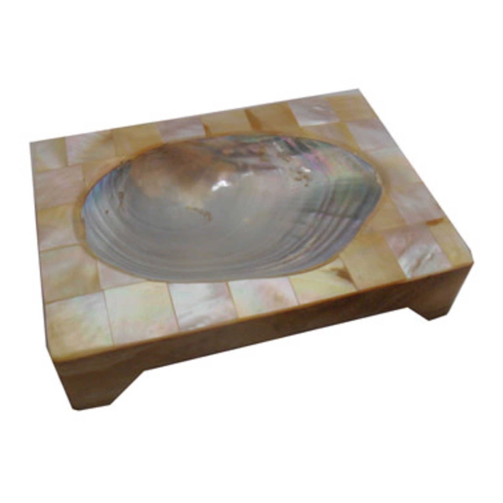 Rectangle Shell Soap Dish with Oval Inside