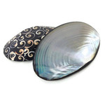 Shell Dish with Luana Back