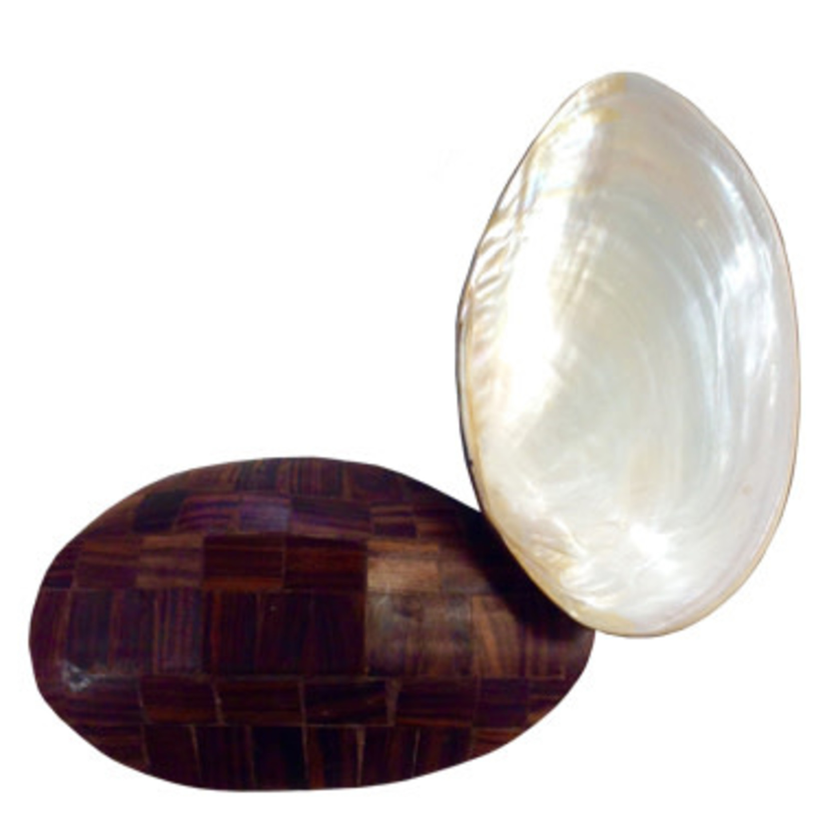 Shell Dish with Rosewood Back
