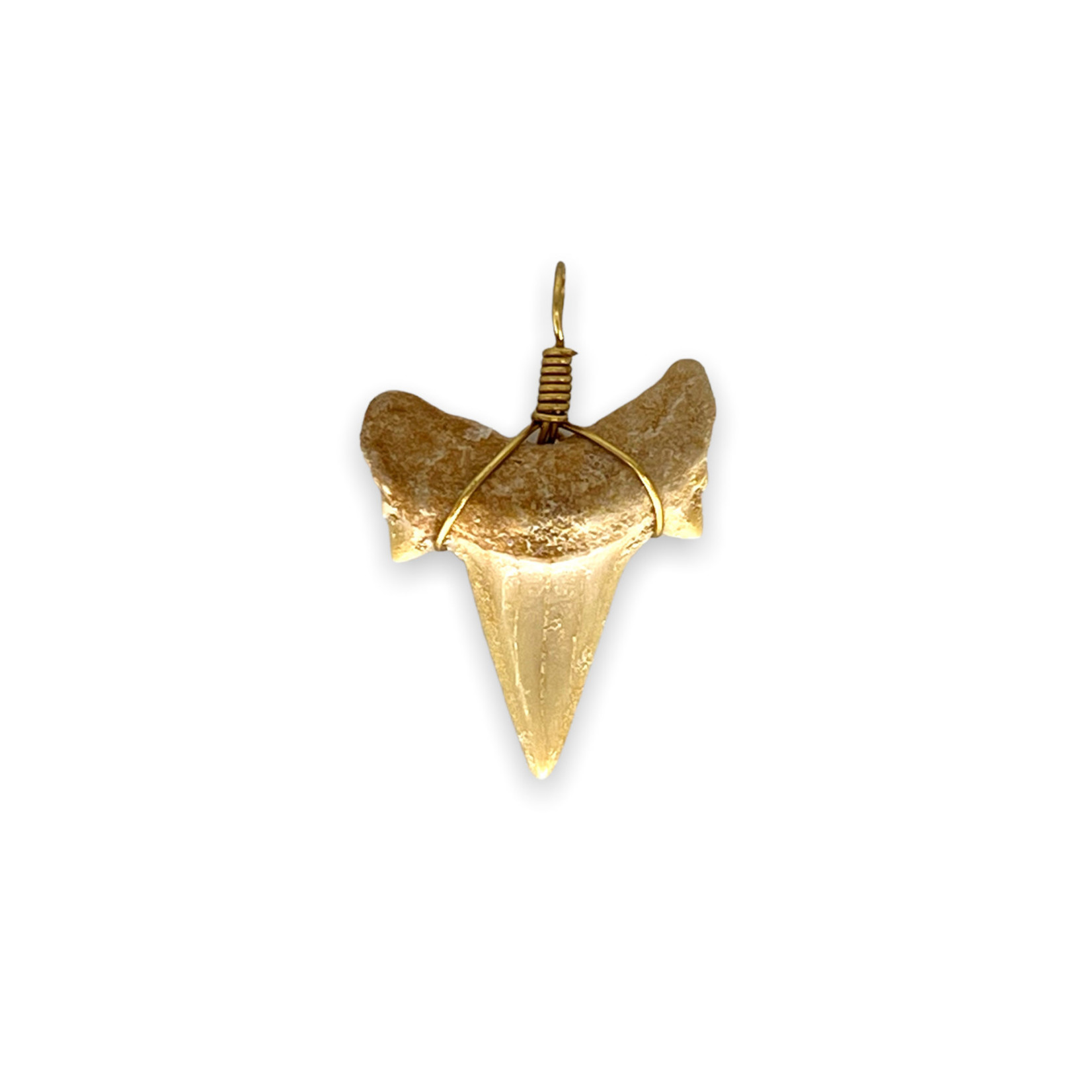 Brass Wire Wrapped Shark Tooth Pendant