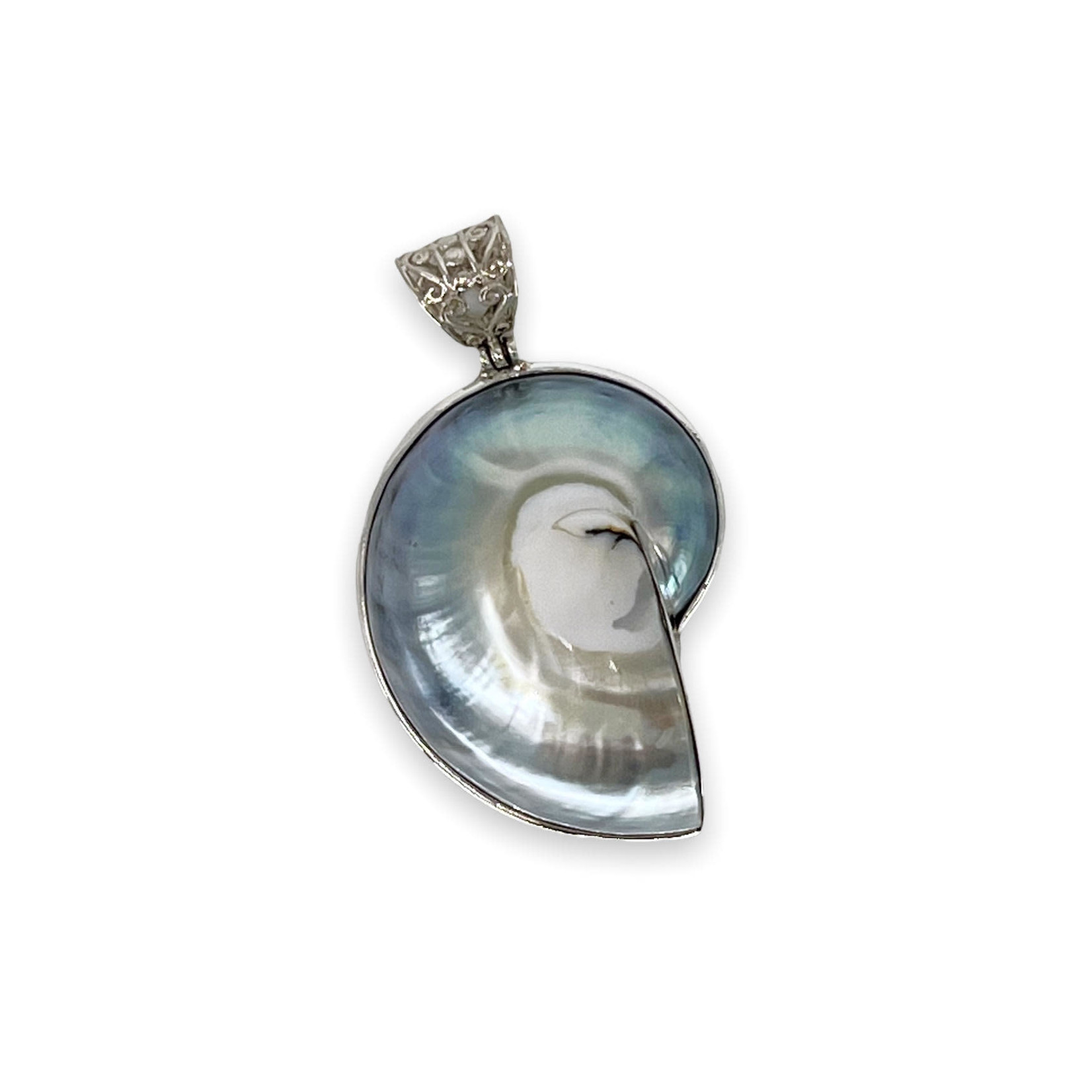 P133 Sterling Silver Nautilus Shell Pendant with Scrolled Bale