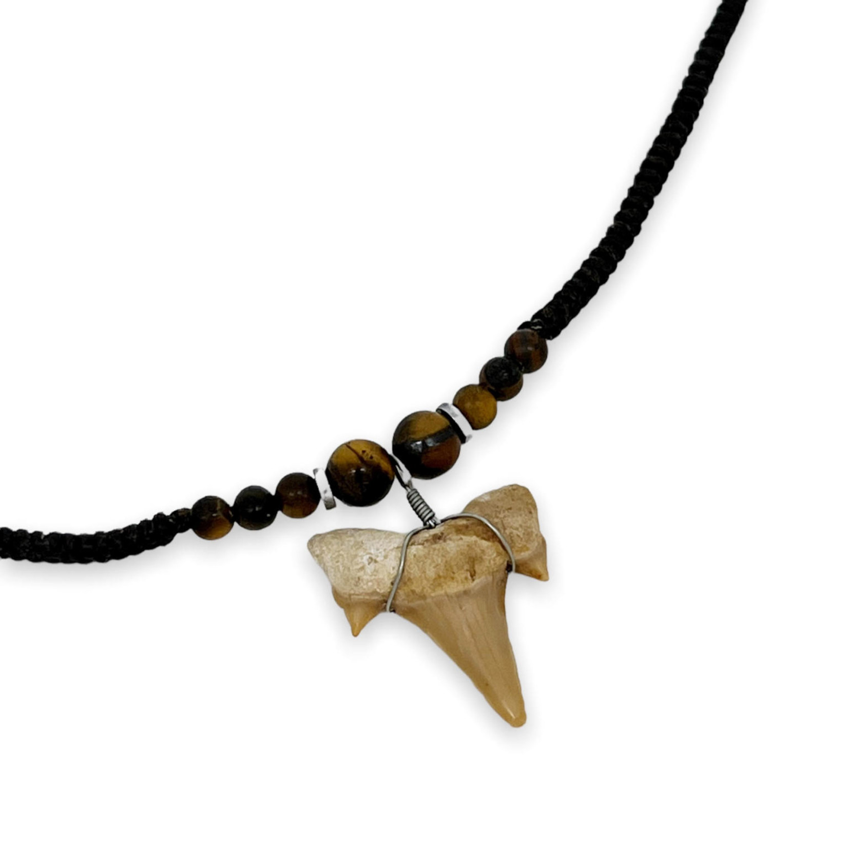 Shark Tooth Necklace on Wax Cord with  Tiger Eye