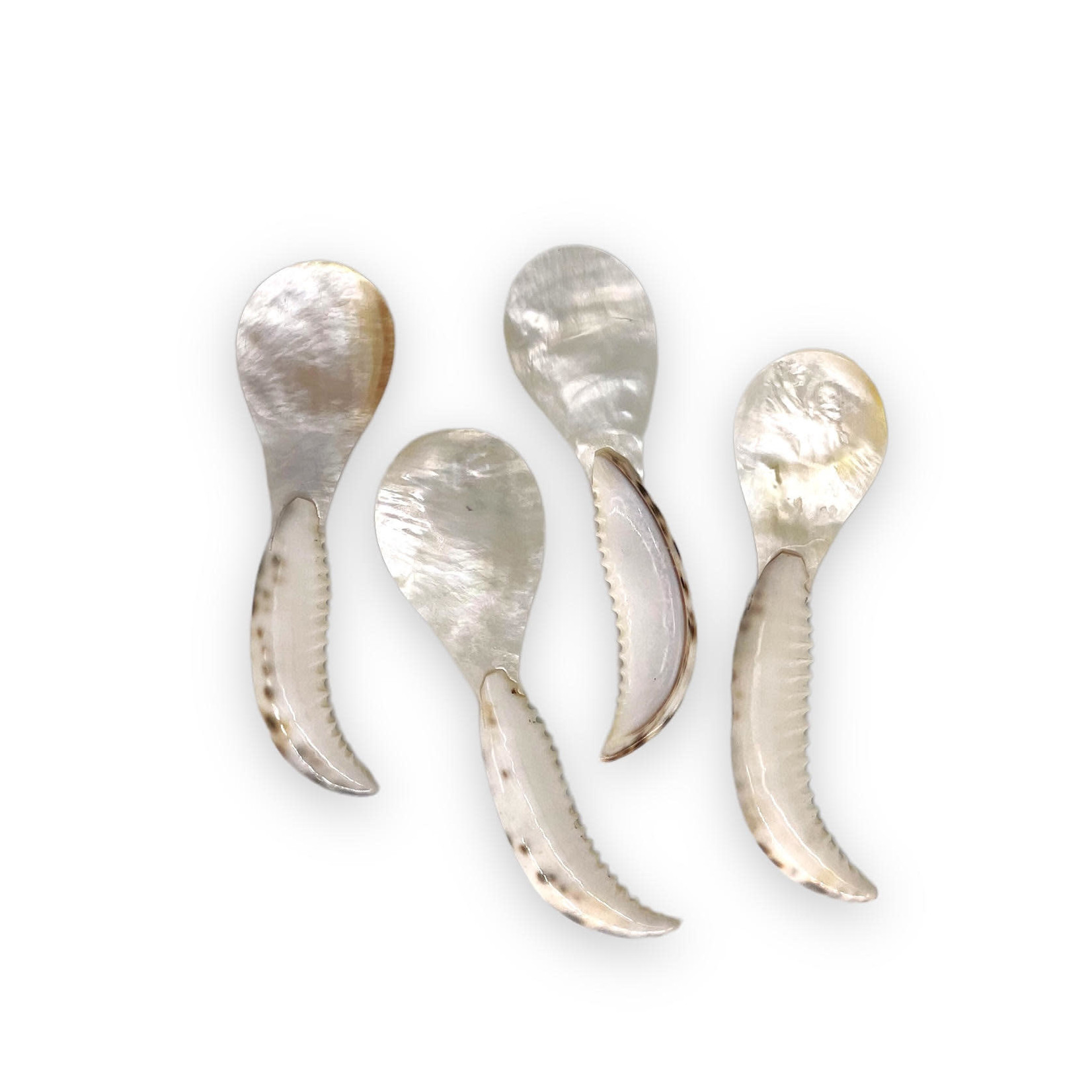 Handmade Mother of Pearl Spoon with Cowry Claw Handle, Set of 4