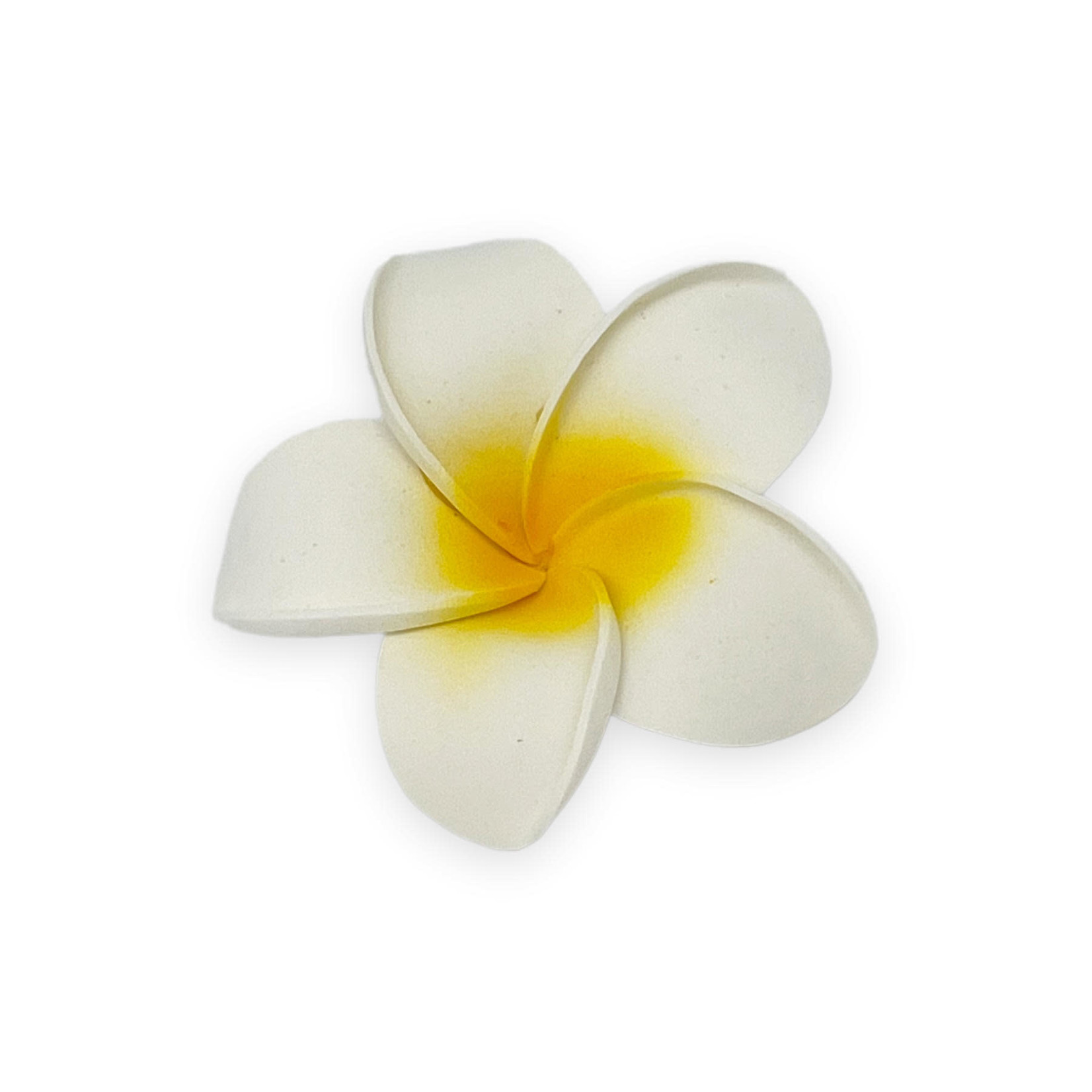 Plumeria Flowers, Pack of 20