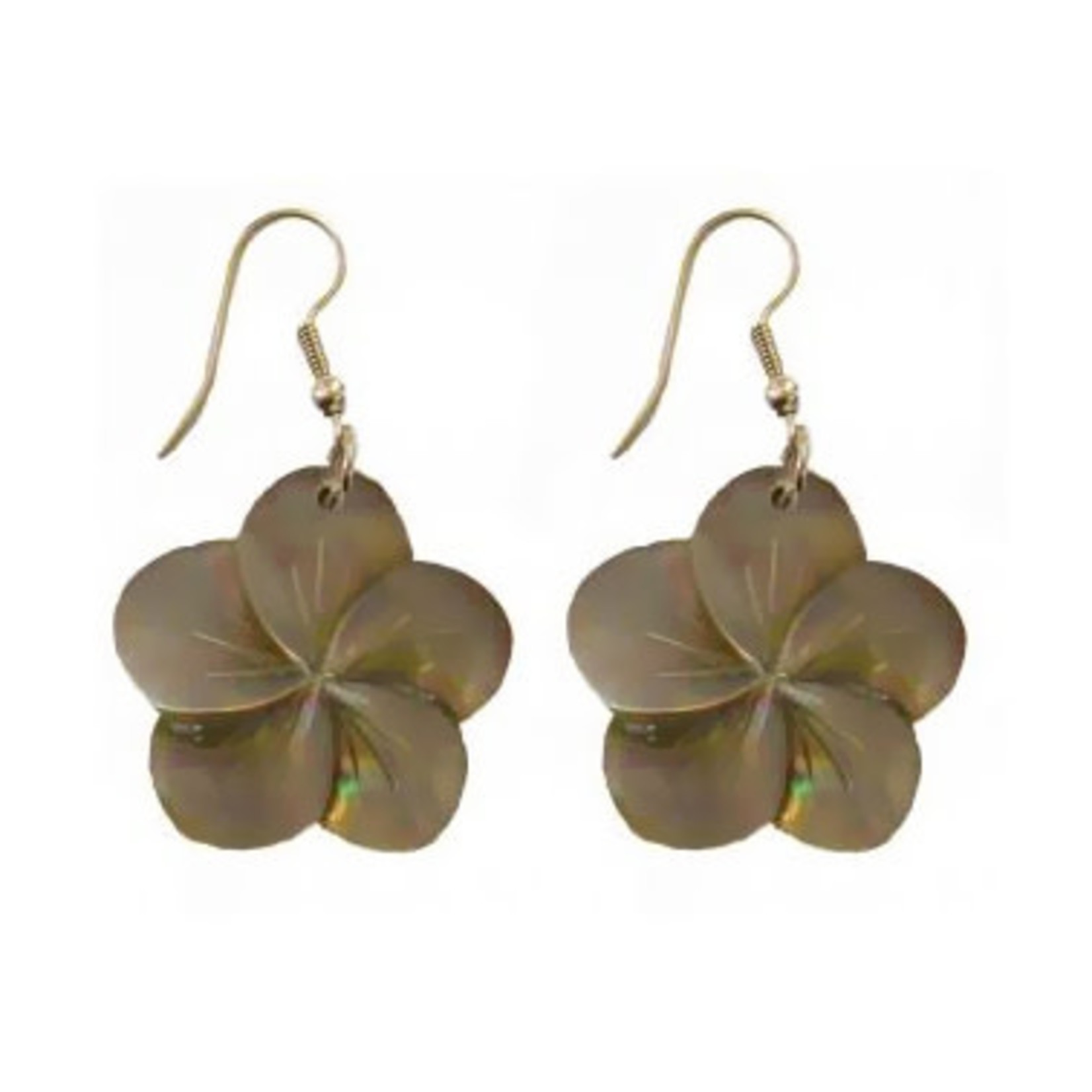 EB14 Island Shell Earrings Carved Gold Shell Flower