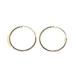 SE134 Sterling Silver Hoop Earrings