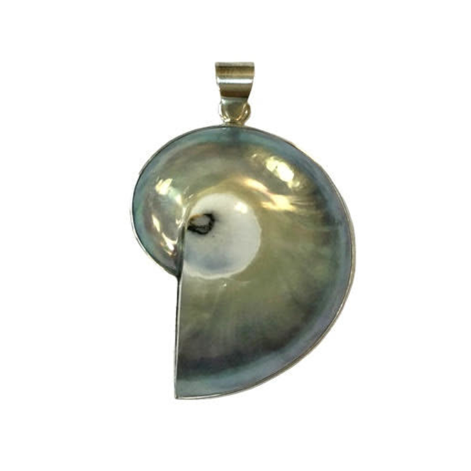P136 Sterling Silver Nautilus Shell Pendant