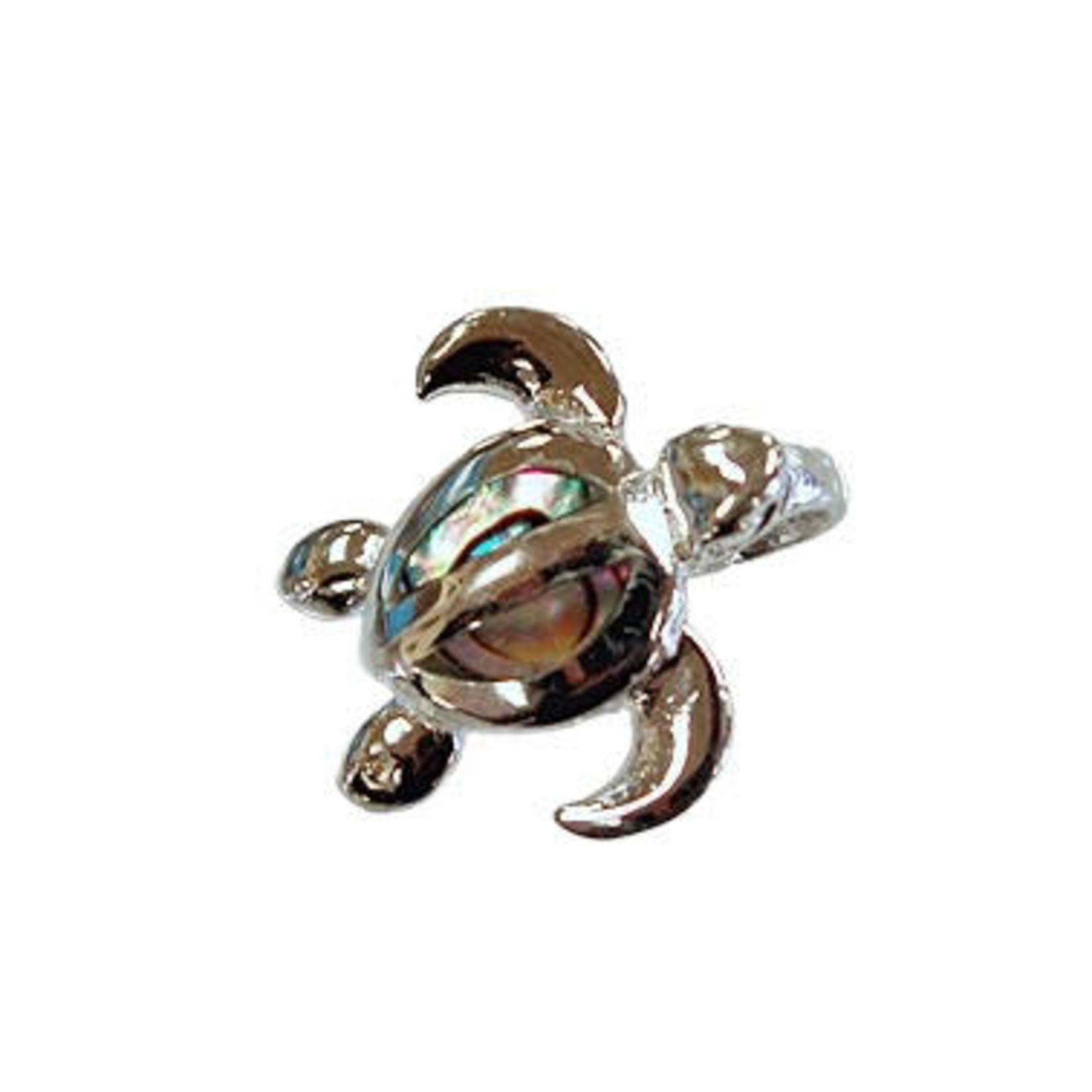 P16 Sterling Silver Turtle Pendant with Paua Back