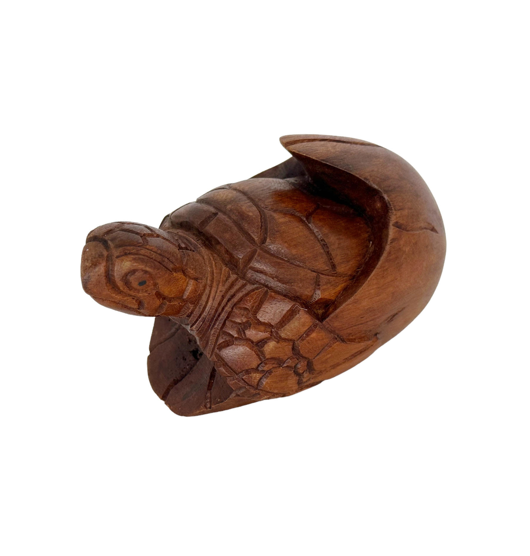 Hand Carved Hatching Turtle Egg - Maka Imports