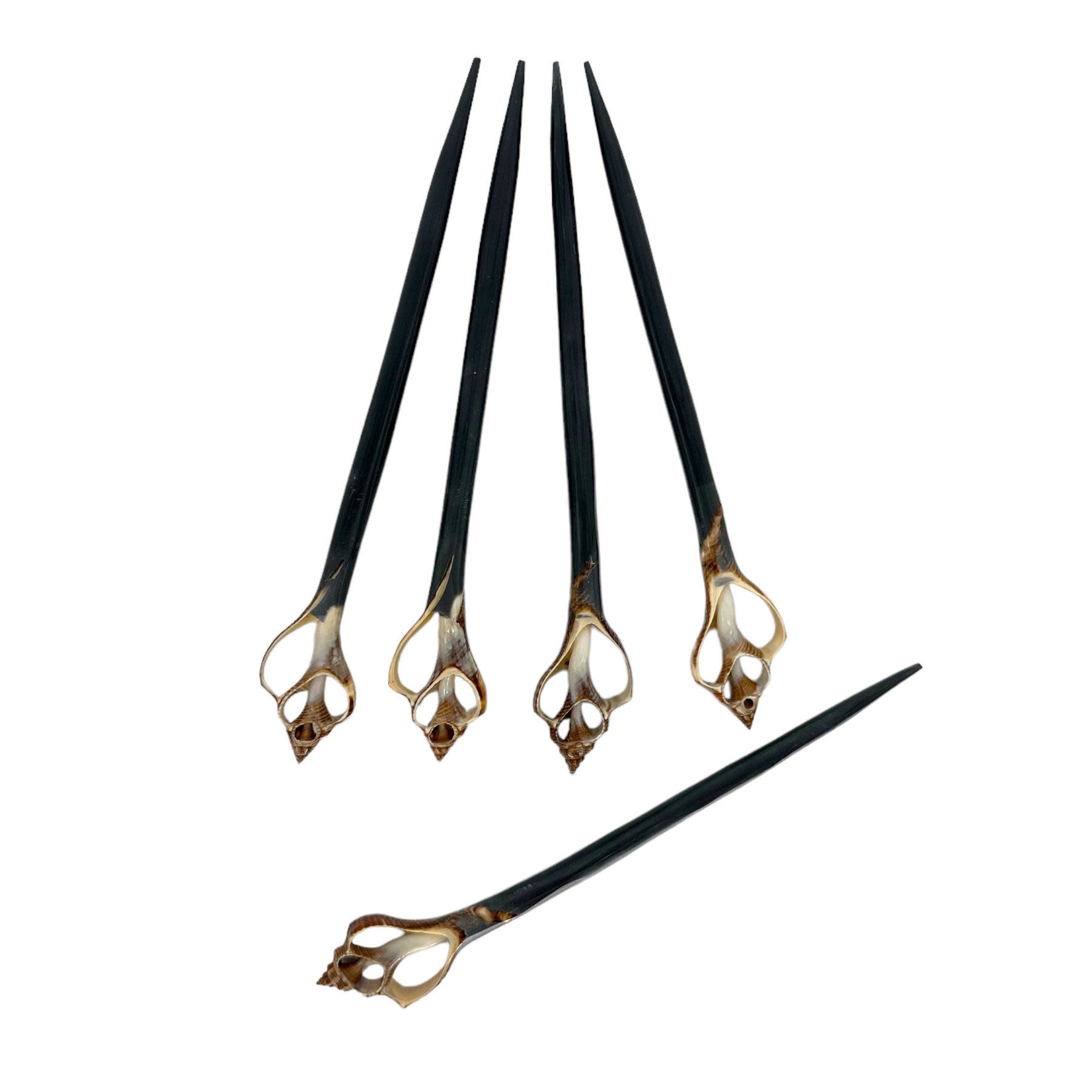 5 Pack Shell and Black Resin Hair Stick #23