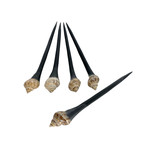 5 Pack Shell and Black Resin Hair Stick #24