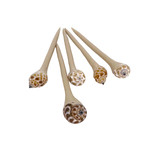 5 Pack Shell and Tan Resin Hair Stick #17