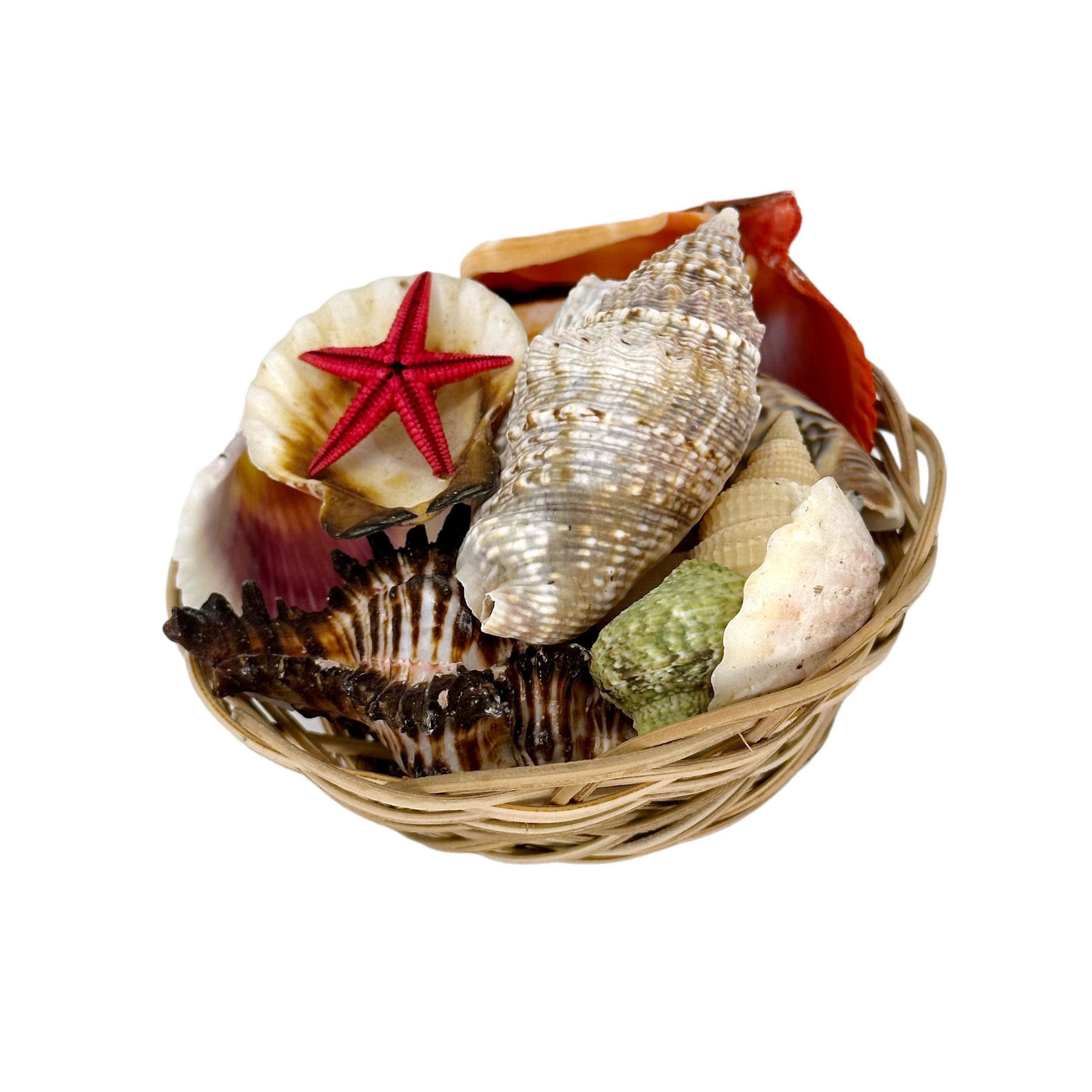 4 Inch Diameter Basket of Assorted Seashells